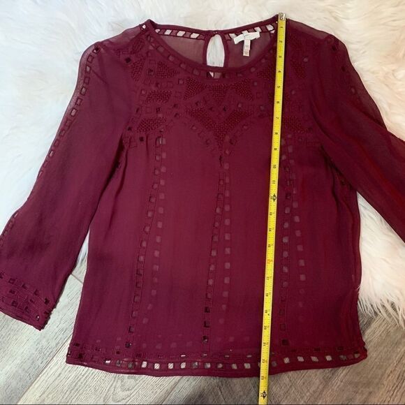 Joie Raisin Gaiane Embroidered Eyelet Blouse - Picture 10 of 11